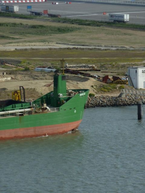 Bulbe moniflor - 21 mai 2011.JPG